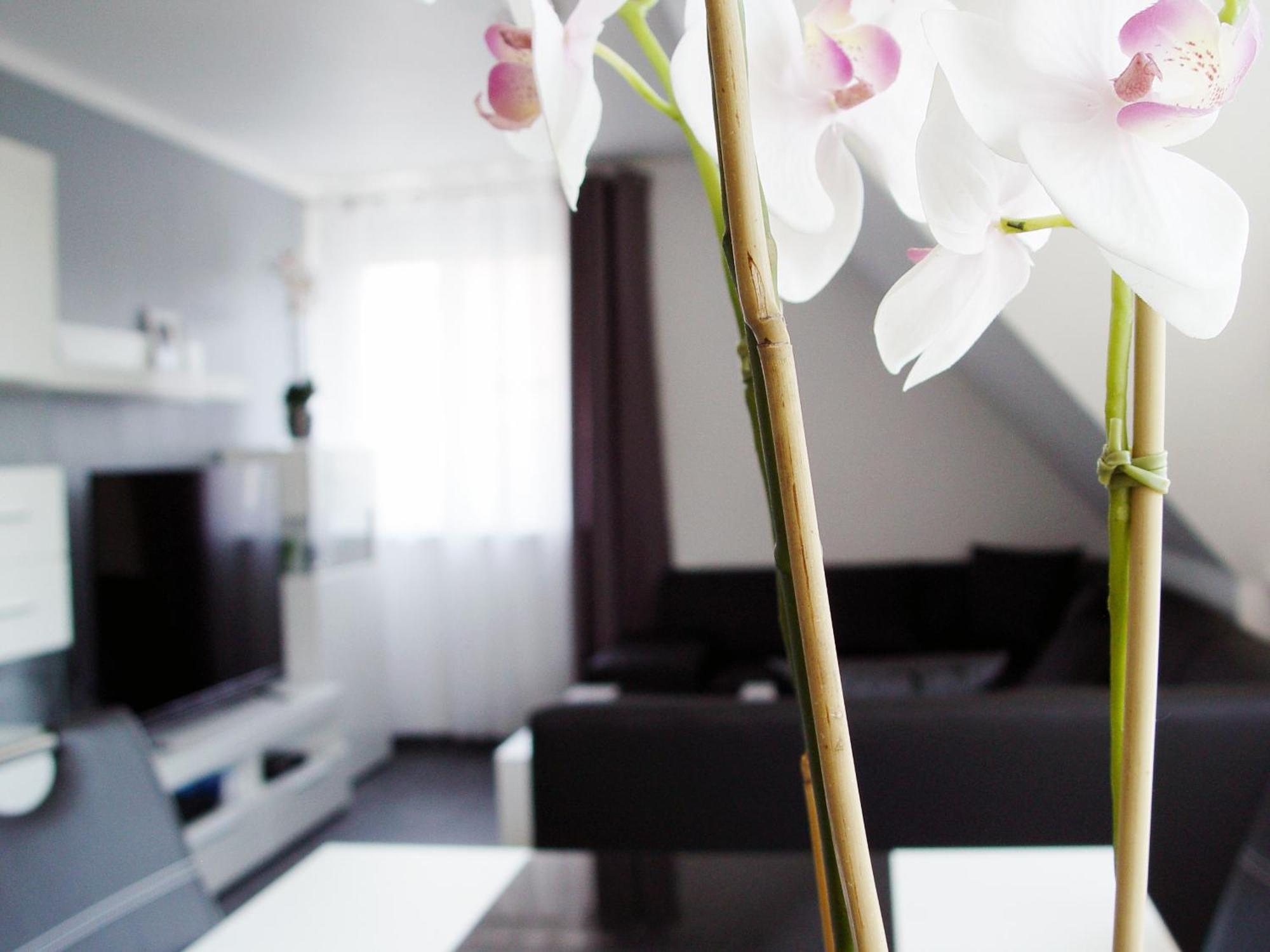 La Domus Premium Apartamento Lotte Exterior foto